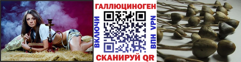 это Telegram  Ачхой-Мартан  Псилоцибиновые грибы GOLDEN TEACHER  закладка 